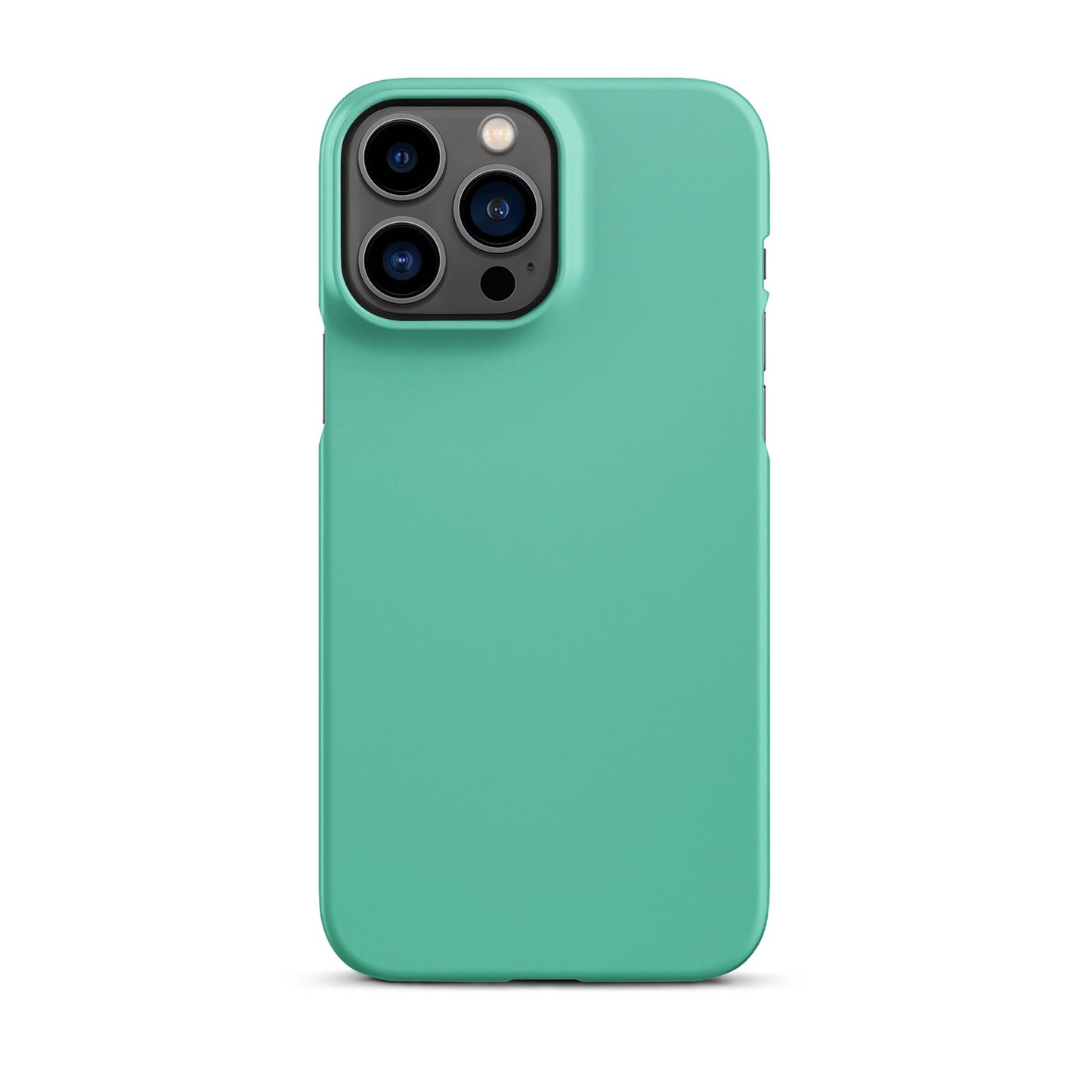 Jade Phone case for iPhone-21